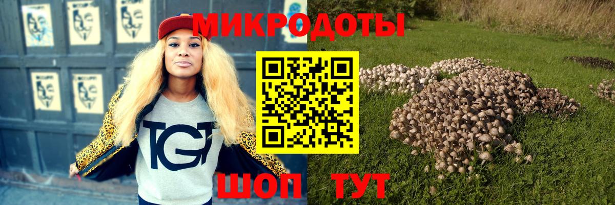 Псилоцибиновые грибы мицелий Славгород