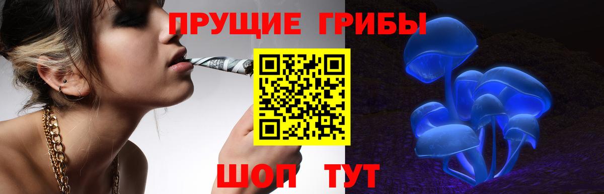 Славгород  Галлюциногенные грибы Psilocybe  Вход с VPN 