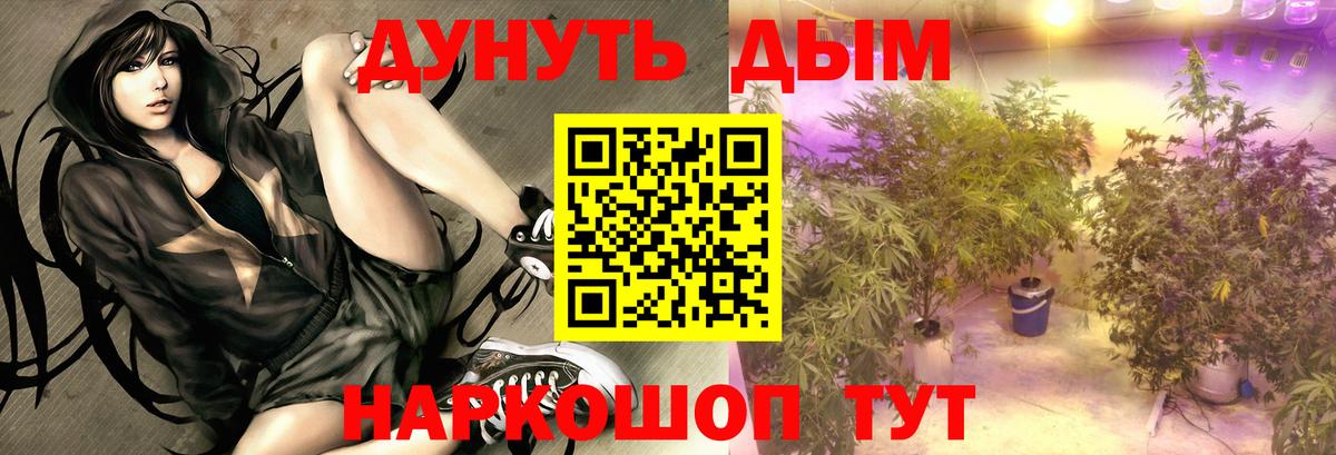 Шишки марихуана Ganja  Бошки марихуана гибрид  Шишки марихуана OG Kush  Вход с VPN  Славгород 